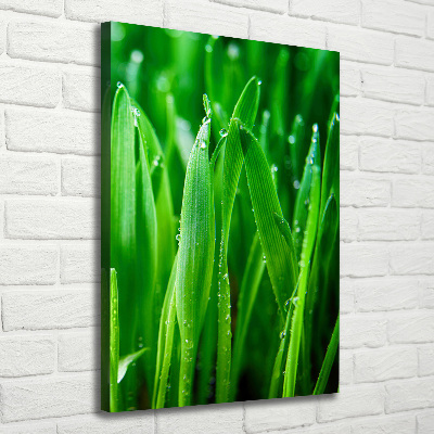 Verticale foto op canvas grassprieten