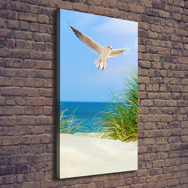 Verticaal schilderij op canvas Meeuw boven de duinen