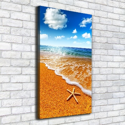 Verticale foto op canvas Zeesterren op het strand