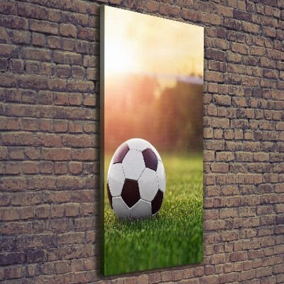 Verticaal canvasschilderij Voetbal
