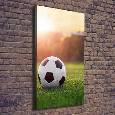 Verticaal canvasschilderij Voetbal