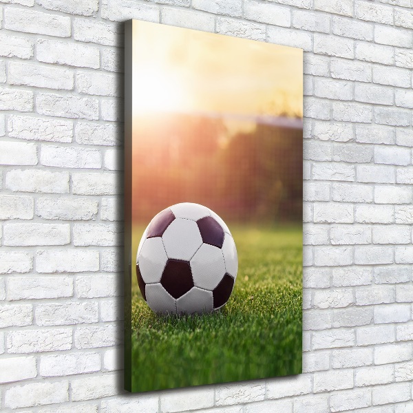 Verticaal canvasschilderij Voetbal