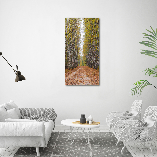 Foto obraz canvas pionowy Las brzozowy