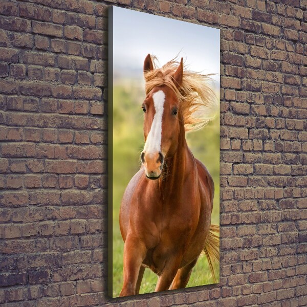 Verticaal schilderij op canvas Een galopperend paard