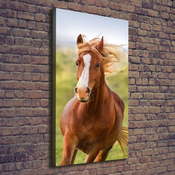 Verticaal schilderij op canvas Een galopperend paard