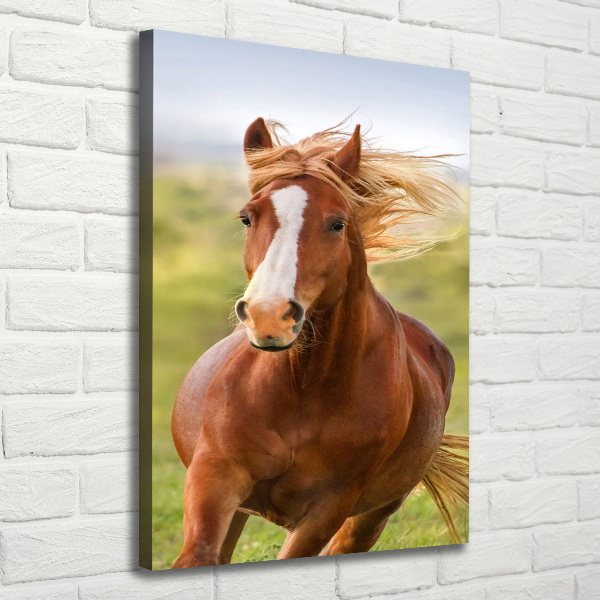 Verticaal schilderij op canvas Een galopperend paard