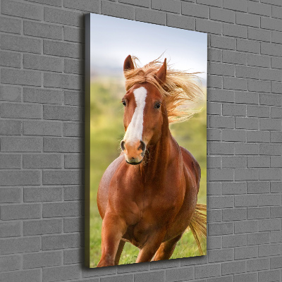 Verticaal schilderij op canvas Een galopperend paard