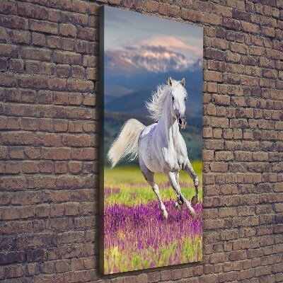 Verticale foto op canvas Een wit paard in galop