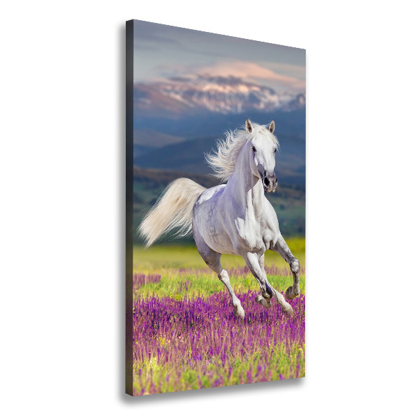 Verticale foto op canvas Een wit paard in galop