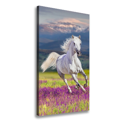 Verticale foto op canvas Een wit paard in galop
