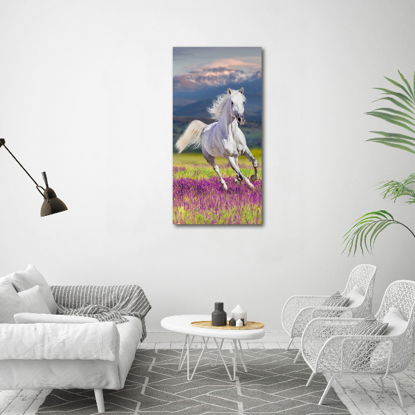 Verticale foto op canvas Een wit paard in galop
