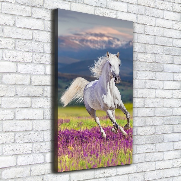 Verticale foto op canvas Een wit paard in galop