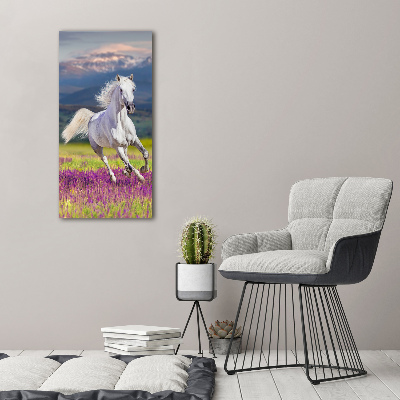 Verticale foto op canvas Een wit paard in galop