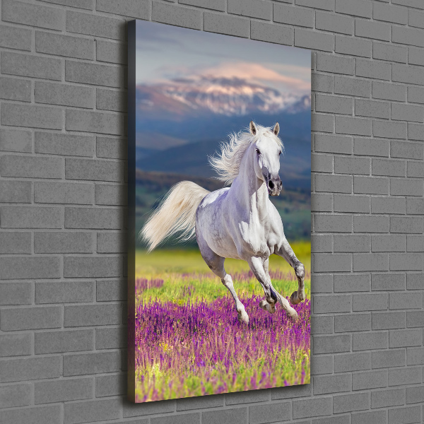 Verticale foto op canvas Een wit paard in galop