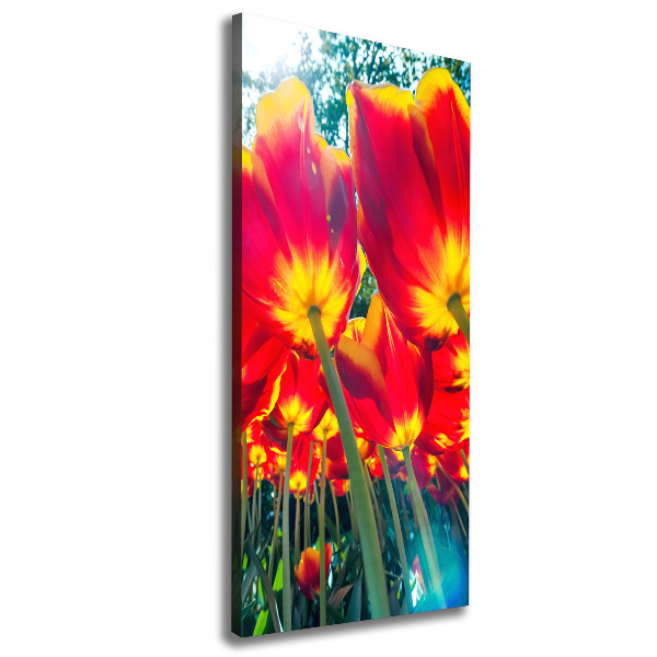 Verticaal canvasschilderij Rode tulpen