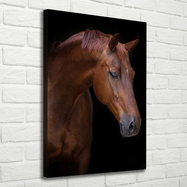 Verticale canvasfoto Portret van een paard