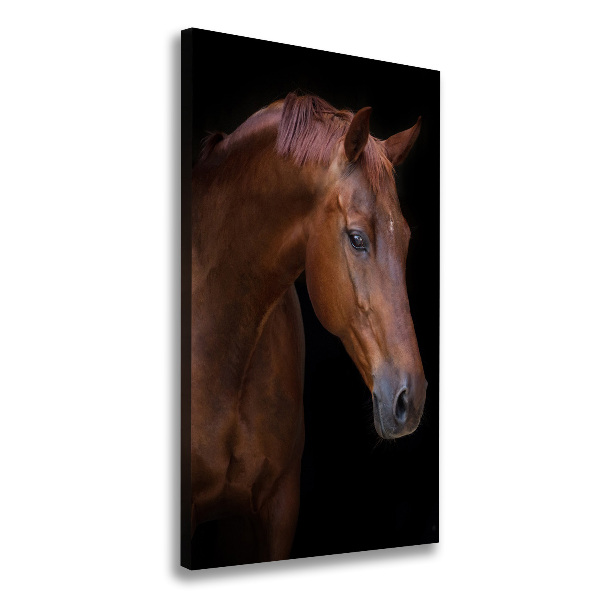 Verticale canvasfoto Portret van een paard
