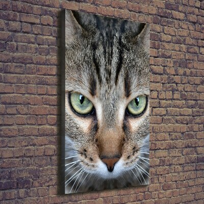 Foto obraz na płótnie do salonu pionowy Oczy kota