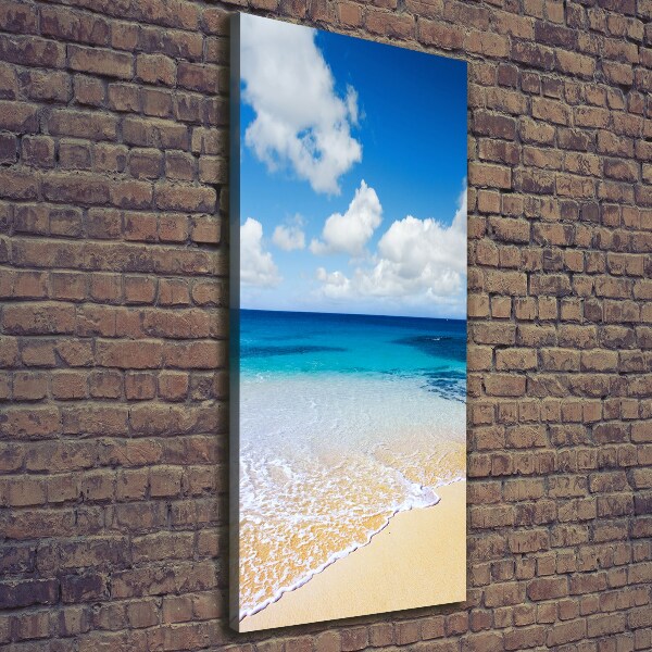 Verticale foto op canvas Tropisch strand