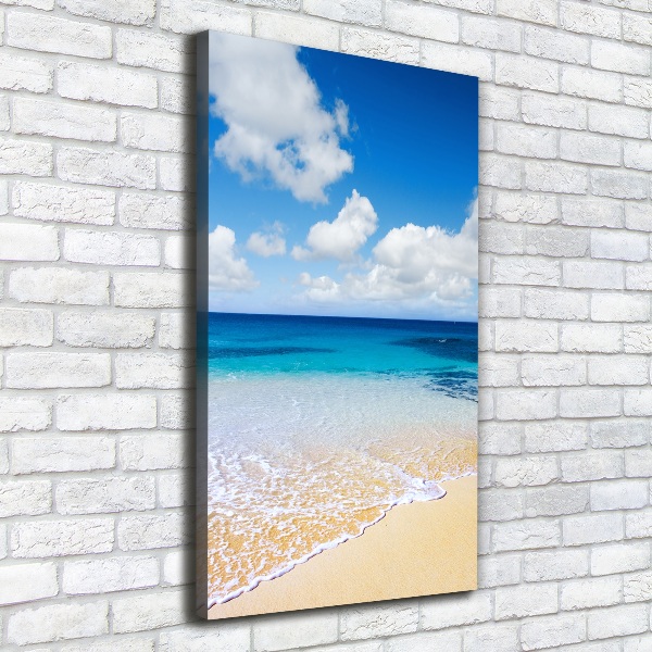 Verticale foto op canvas Tropisch strand