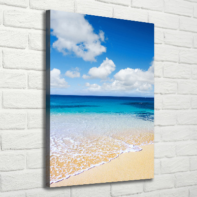 Verticale foto op canvas Tropisch strand