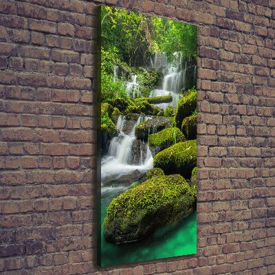 Verticaal schilderij op canvas Waterval in de jungle