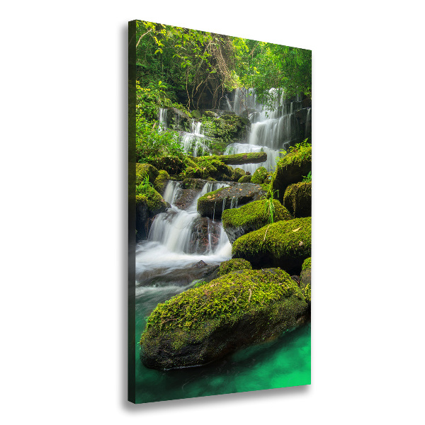 Verticaal schilderij op canvas Waterval in de jungle