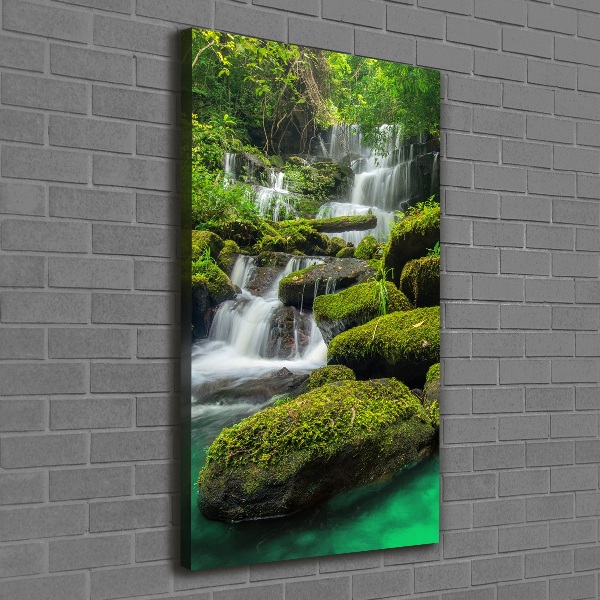 Verticaal schilderij op canvas Waterval in de jungle