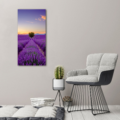 Verticale foto op canvas Lavendelveld