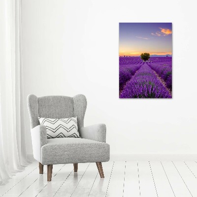 Verticale foto op canvas Lavendelveld
