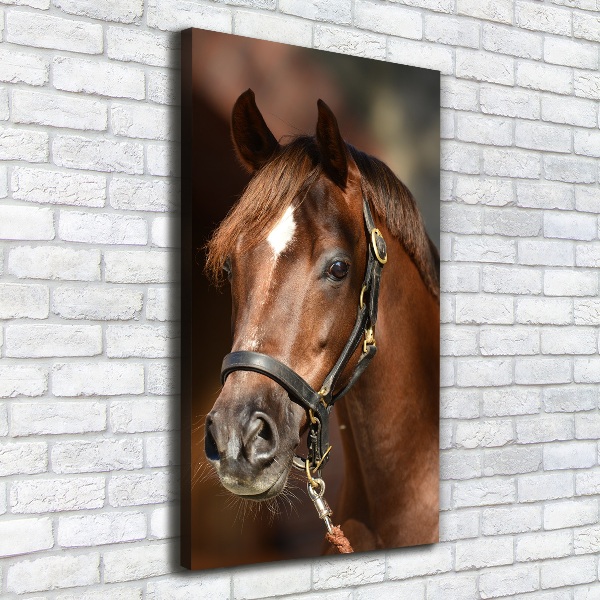 Verticaal canvasschilderij Portret van een paard