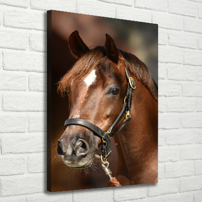 Verticaal canvasschilderij Portret van een paard