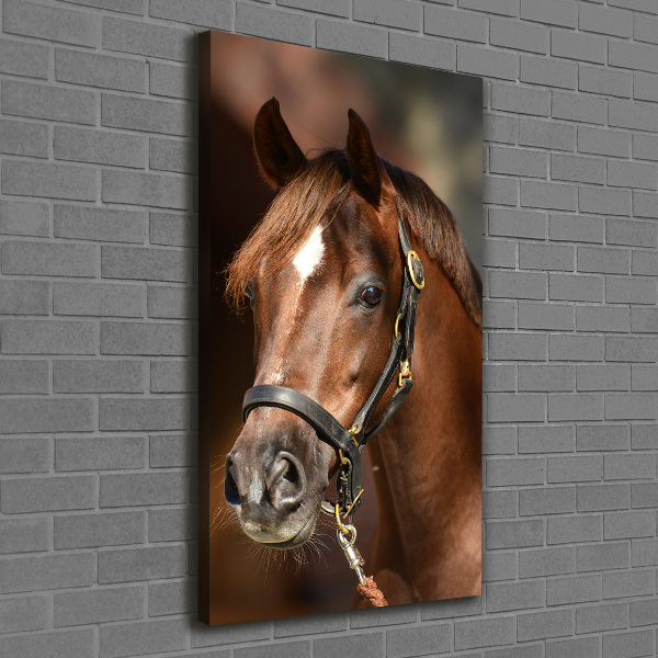 Verticaal canvasschilderij Portret van een paard