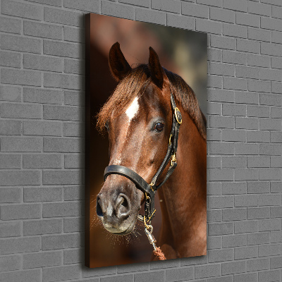 Verticaal canvasschilderij Portret van een paard