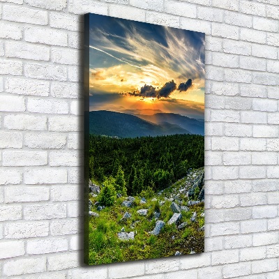 Verticale foto op canvas Panorama van de bergen