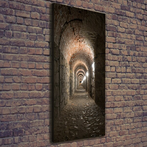 Nowoczesny obraz canvas na ramie pionowy Piwnice