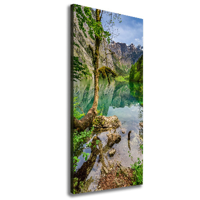 Verticale canvasfoto Meer in de bergen