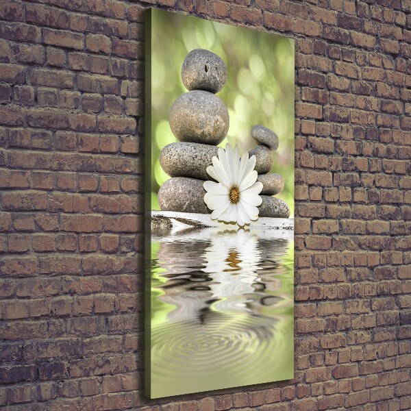 Verticale foto op canvas Stenen en bloemen