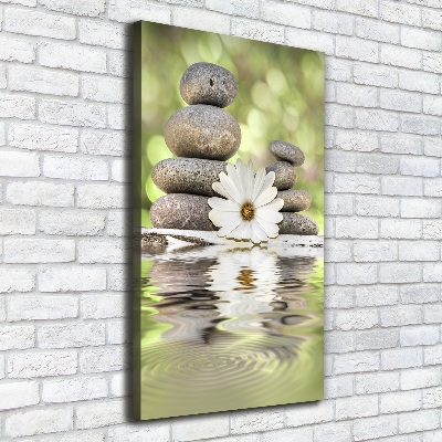 Verticale foto op canvas Stenen en bloemen
