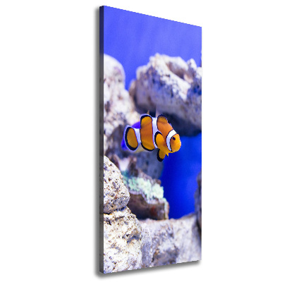 Verticaal schilderij op canvas Nemo de vis