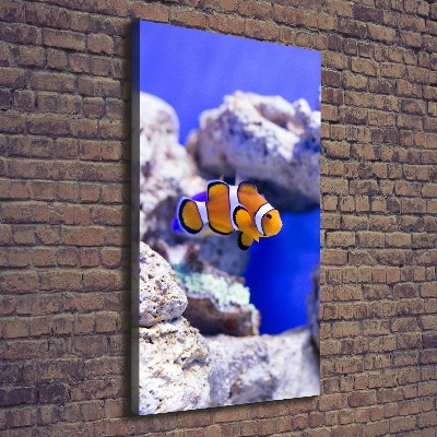 Verticaal schilderij op canvas Nemo de vis