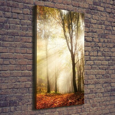 Verticale foto op canvas Bos in de herfst