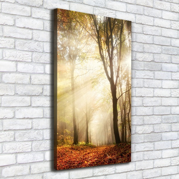 Verticale foto op canvas Bos in de herfst
