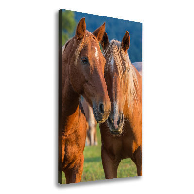 Verticale foto op canvas Twee paarden