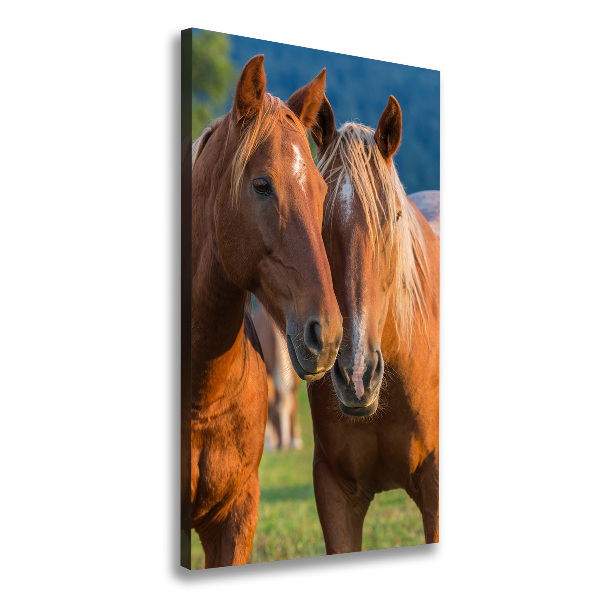 Verticale foto op canvas Twee paarden