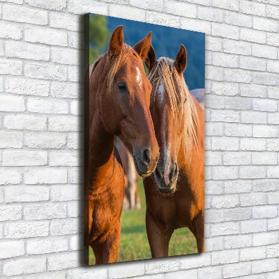 Verticale foto op canvas Twee paarden