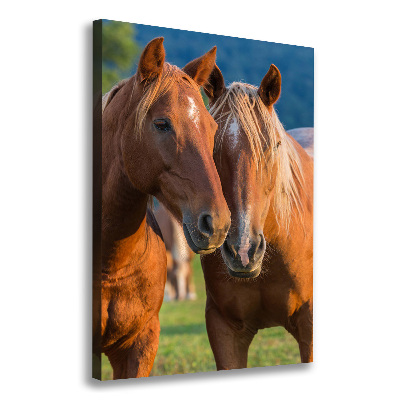 Verticale foto op canvas Twee paarden