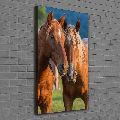 Verticale foto op canvas Twee paarden