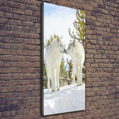 Verticale canvasfoto Twee witte wolven