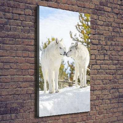 Verticale canvasfoto Twee witte wolven